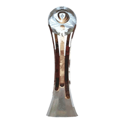 كأس الدوري البرتغالي