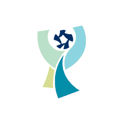 كأس السوبر التركي